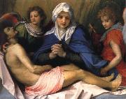 Andrea del Sarto Lamentation of Christ Germany oil painting artist